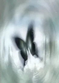 《落网(校园1V1)》小说在线阅读 雨也作品