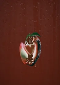 《烂果（姐弟1v1）》小说在线阅读 虾仁不加盐作品