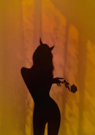 2025全新版本《西海岸2015》 白骨红衣作品完结免费阅读