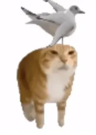 男朋友好像变伪人了(年下,h)最新章节目录 男朋友好像变伪人了(年下,h)全本在线阅读