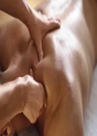 《在强O合法化的世界里伪装男性(nph)》小说在线阅读 LennKnife作品