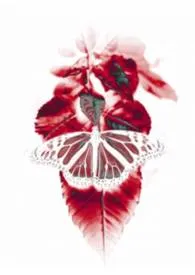 2025全新版本《逆骨(哥妹)》 大大怪作品完结免费阅读