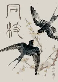 《同枝（1v1史同兄妹真骨·嬴政x嬴婼）》2026版小说全集 小林困了完本作品