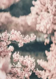 2025全新版本《三春之桃(短篇合集)》 几度花作品完结免费阅读