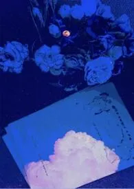 与病患成了炮友关系最新章节目录 与病患成了炮友关系全本在线阅读