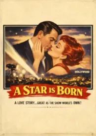 一个明星的诞生(美娱剧情1v1)2026全章节阅读 一个明星的诞生(美娱剧情1v1)小说免费阅读