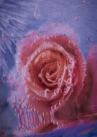 我所关注的那位博主小说完结版免费阅读（作者：游游烧烤鸽）