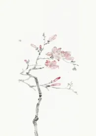 燕尔（古言1v1）最新章节目录 燕尔（古言1v1）全本在线阅读