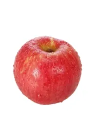 2026全新版本《短生种》 ssshulllsai作品完结免费阅读