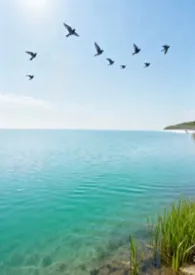 2026全新版本《归去来兮（GB）》 芝坞作品完结免费阅读