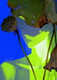 邪教（NPH/强制爱）作者：莓卷卷球 全本免费阅读