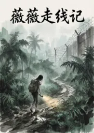 《薇薇走线记》2026最新章节 薇薇走线记免费阅读