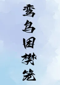 鸾鸟困樊笼小说完结版免费阅读（作者：却寒）