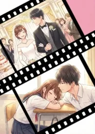 瘦肉粥著作《假妻（破镜重圆1v1h）》小说全文阅读