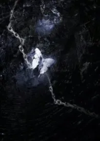 《愿安（强制爱，NPH）》2026版小说全集 SARRE完本作品