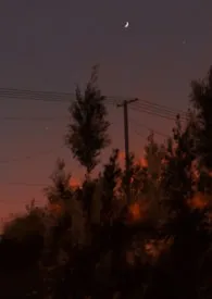 《他甘愿（真骨/兄妹/1v1h）》小说在线阅读 不是湛蓝作品