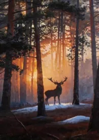 《《想被命名》（SM/济南圈内真实经历）》2026最新章节 《想被命名》（SM/济南圈内真实经历）免费阅读