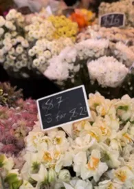 1970全新版本《睡前读物》 葡萄冰作品完结免费阅读