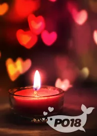 《联姻对象她总有心事(ABO)》小说大结局 沉明最新力作