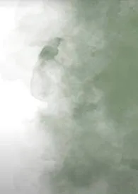 绿辣春卷著作《晚来烟（古言）》小说全文阅读