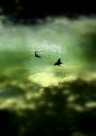 《醒过》1970版小说全集 枸兹完本作品