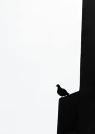 喂养她作者:长欢 全本免费阅读