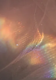 《女儿仙(女尊nph)》2026版小说全集 lulala完本作品