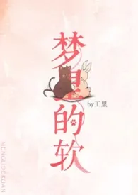 梦里的软（1v1 强制爱）作者：宫理 全本免费阅读