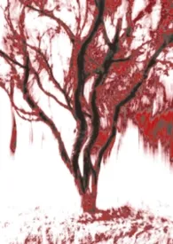 《残响》小说在线阅读 乙作品
