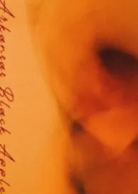 阿肯色黑苹果np小说完结版免费阅读（作者：小感）