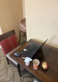 野狗脱缰小说完结版免费阅读（作者：榨脸）