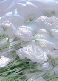 [排球少年]月与雪色之间2026全章节阅读 [排球少年]月与雪色之间小说免费阅读