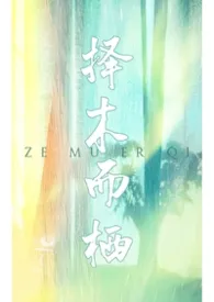 择木而栖小说完结版免费阅读（作者：互联网幽灵）
