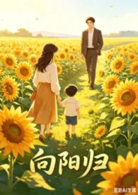 《向阳归:带球跑后律师老公飞升万亿大佬(1v1 破镜重圆)》2026版小说全集 辰禾星完本作品