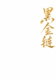 黑金链（1v1/h）作者：黑卡随便用 全本免费阅读