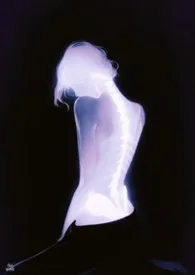 《疯狗病》小说在线阅读 汤圆酱子作品