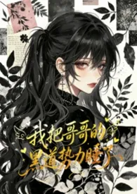 《我把哥哥的黑道势力睡了(np 含骨科)》2026版小说全集 子时南笙烟完本作品