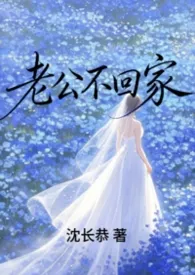 《老公不回家（先婚后爱1v1）改版》小说在线阅读 沈长恭作品