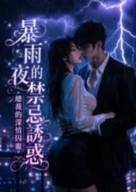 《暴雨夜的禁忌诱惑:总裁的深情囚宠》小说在线阅读 煜作品