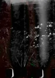 jsdjf著作《小傻子(母子,强制爱)》小说全文阅读