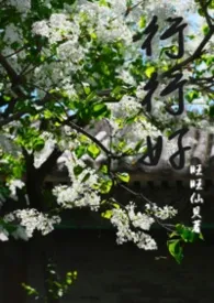 《行行好（ 暗黑NPH）》小说在线阅读 旺旺仙贝作品