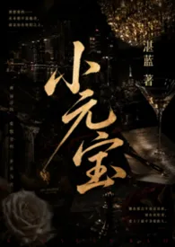 小元宝（NPH）作者：湛蓝 全本免费阅读