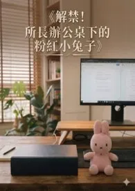 《解禁！所长办公桌下的粉红小兔子》2026版小说全集 壹凌完本作品