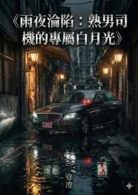 壹凌著作《雨夜沦陷:熟男司机的专属白月光》小说全文阅读