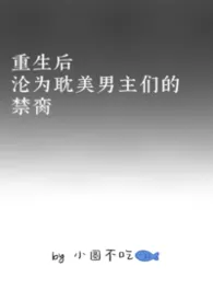 小圆不吃鱼著作《重生后沦为耽美男主们的禁脔》小说全文阅读