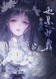 《是凡人，也是共用炉鼎》小说在线阅读 黑茶作品