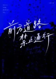 前方道路禁止通行1v1作者:椰奶布丁杯 全本免费阅读