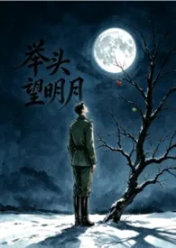 《举头望明月》2026版小说全集 乌拉拉De梦完本作品