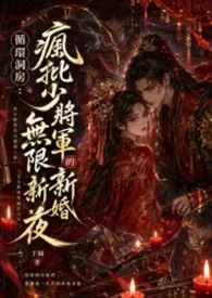 循环洞房：疯批少将军的无限新婚夜作者：于归 全本免费阅读