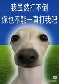 昭昭之心作者：cry 全本免费阅读
